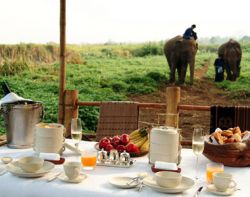 Four Seasons Tented Camp Golden Triangle
